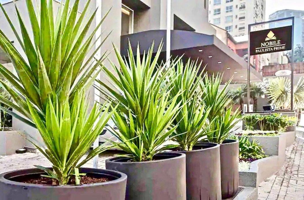 Flat Whynd Paulista Al Campinas 540 Apartment São Paulo Exterior photo